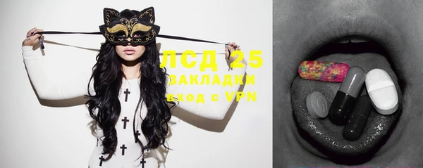 дурь Осташков